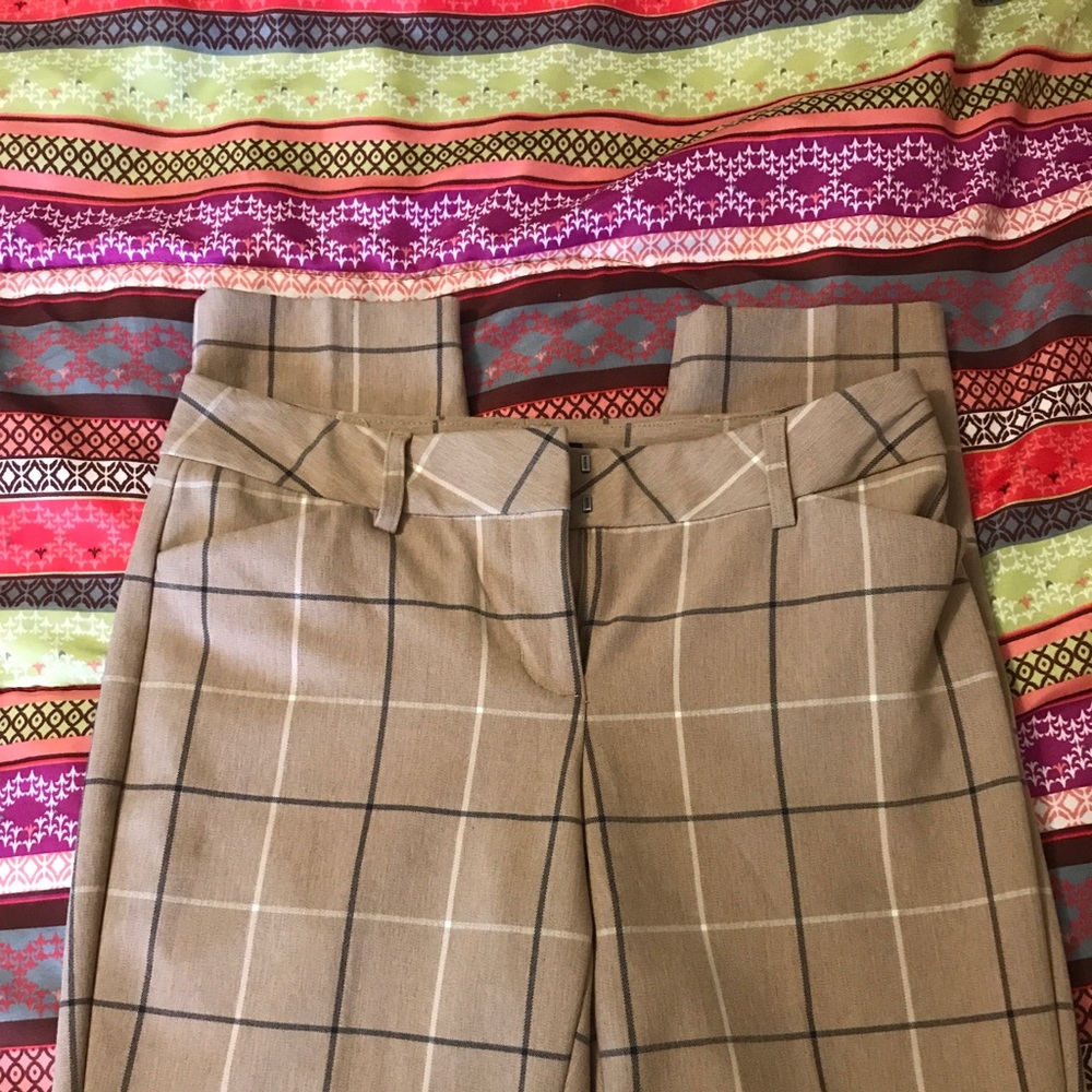Express Editor Pants